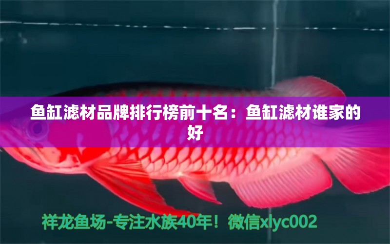 魚缸濾材品牌排行榜前十名：魚缸濾材誰家的好 廣州龍魚批發(fā)市場