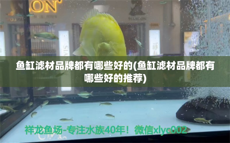 魚缸濾材品牌都有哪些好的(魚缸濾材品牌都有哪些好的推薦) 月光鴨嘴魚