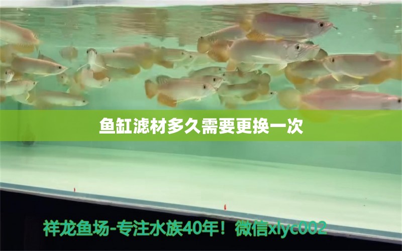 魚缸濾材多久需要更換一次 潛水泵