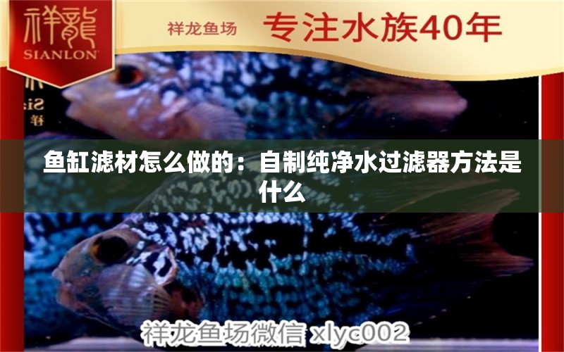 魚缸濾材怎么做的：自制純凈水過濾器方法是什么 養(yǎng)魚的好處 第1張