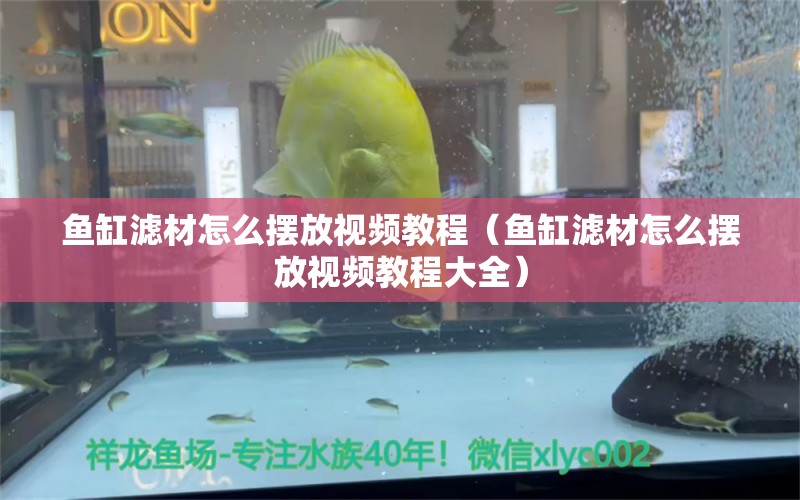 魚缸濾材怎么擺放視頻教程（魚缸濾材怎么擺放視頻教程大全）