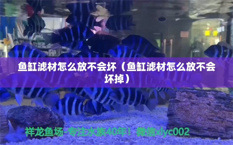 魚(yú)缸濾材怎么放不會(huì)壞（魚(yú)缸濾材怎么放不會(huì)壞掉）