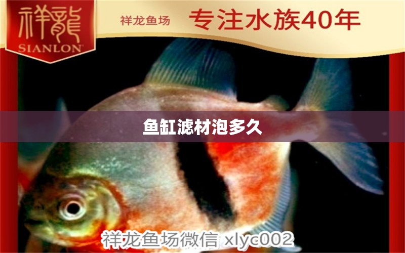 魚缸濾材泡多久