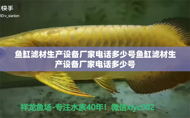 魚(yú)缸濾材生產(chǎn)設(shè)備廠家電話多少號(hào)魚(yú)缸濾材生產(chǎn)設(shè)備廠家電話多少號(hào) 白子黃化銀龍魚(yú)