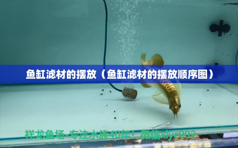 魚缸濾材的擺放（魚缸濾材的擺放順序圖） 祥龍水族醫(yī)院