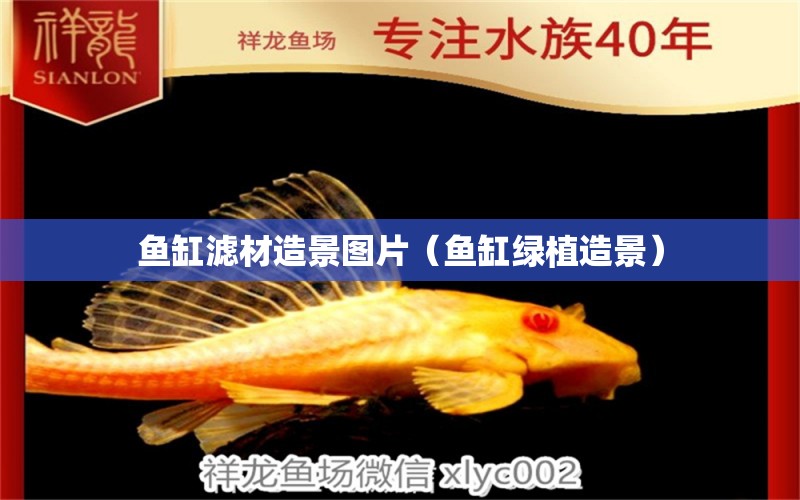 魚缸濾材造景圖片（魚缸綠植造景） 其他品牌魚缸