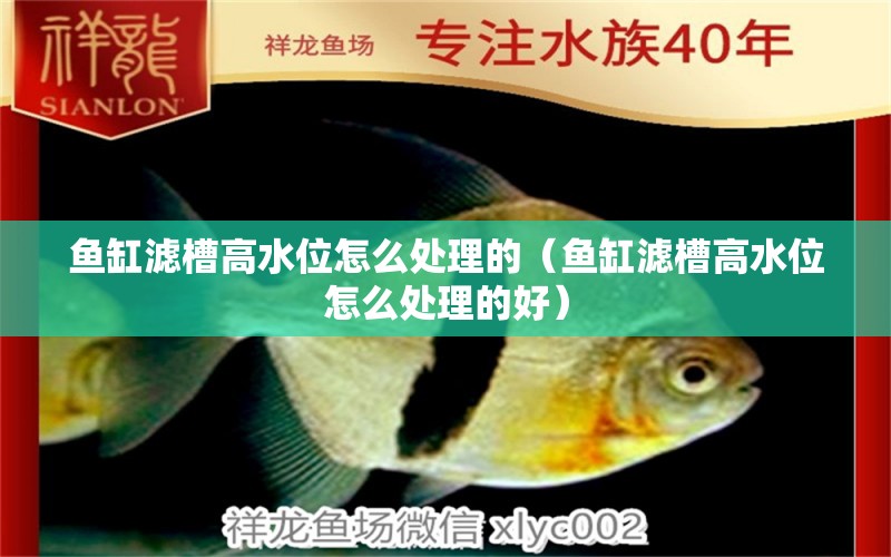 魚缸濾槽高水位怎么處理的（魚缸濾槽高水位怎么處理的好） 祥龍水族醫(yī)院