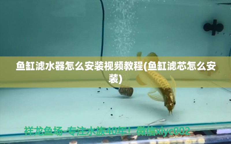 魚缸濾水器怎么安裝視頻教程(魚缸濾芯怎么安裝) 森森魚缸