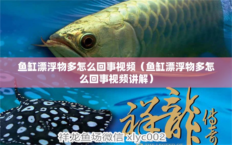 魚缸漂浮物多怎么回事視頻（魚缸漂浮物多怎么回事視頻講解） 魚缸水泵