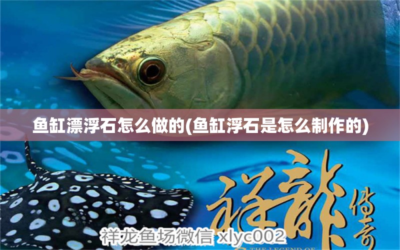 魚缸漂浮石怎么做的(魚缸浮石是怎么制作的) 白子球鯊魚