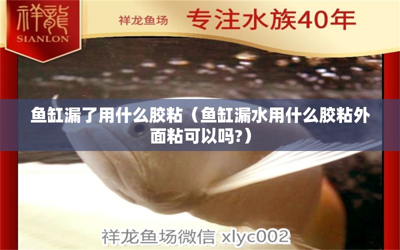 魚缸漏了用什么膠粘（魚缸漏水用什么膠粘外面粘可以嗎?）