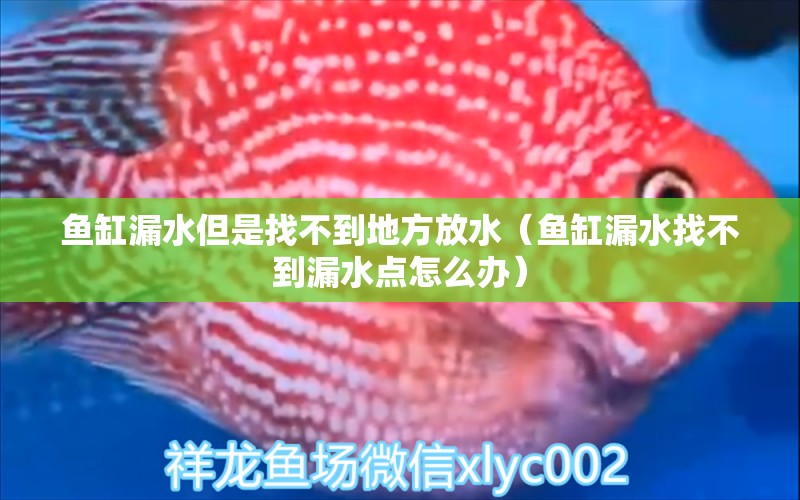 魚缸漏水但是找不到地方放水（魚缸漏水找不到漏水點怎么辦） 印尼虎苗