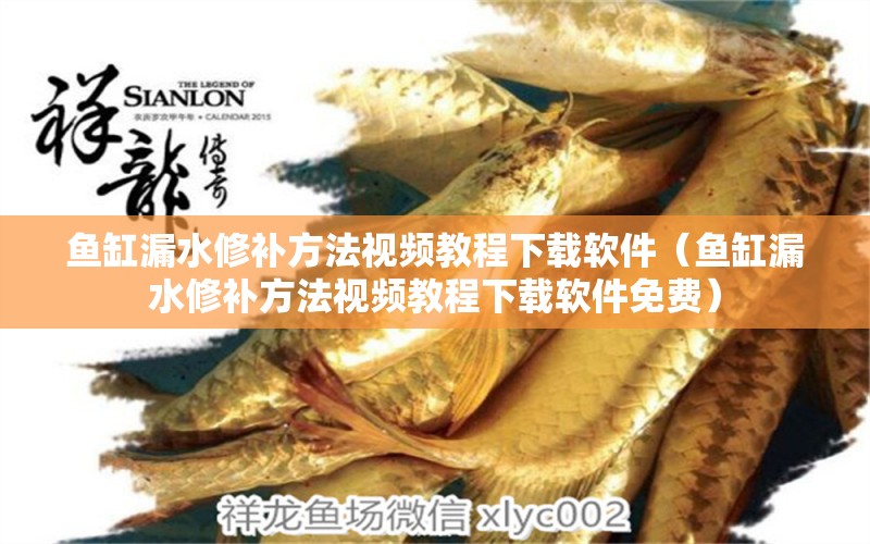 魚(yú)缸漏水修補(bǔ)方法視頻教程下載軟件（魚(yú)缸漏水修補(bǔ)方法視頻教程下載軟件免費(fèi)）