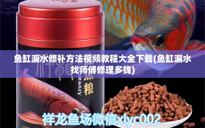 魚缸漏水修補方法視頻教程大全下載(魚缸漏水找?guī)煾敌蘩矶噱X) 野彩魚 第1張