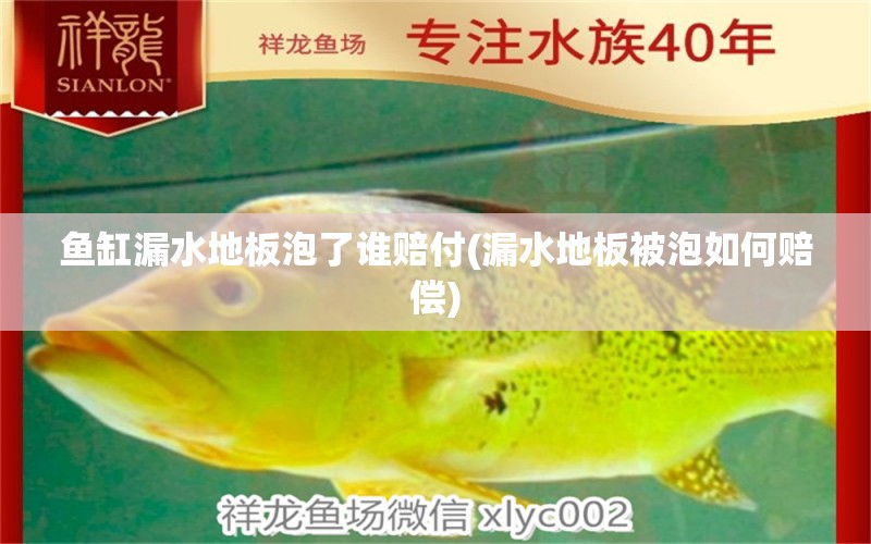 魚(yú)缸漏水地板泡了誰(shuí)賠付(漏水地板被泡如何賠償) 細(xì)線銀版魚(yú)