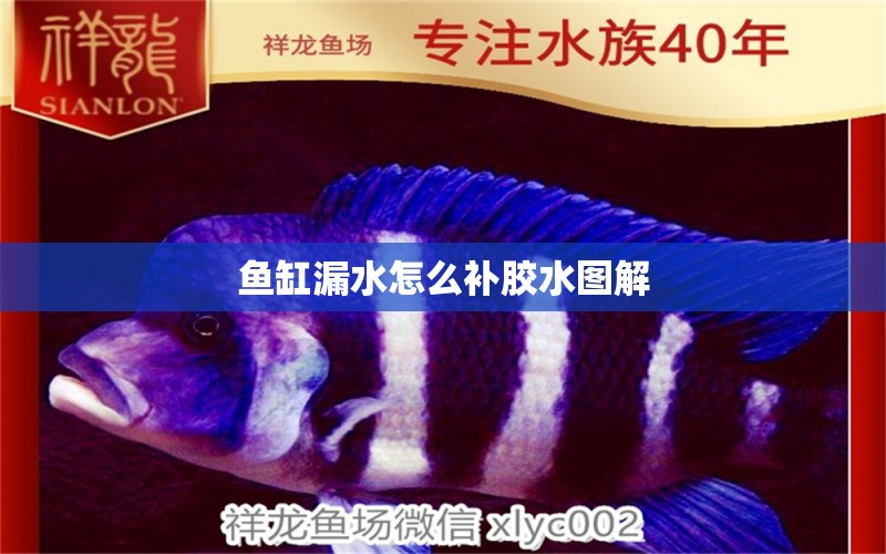 魚缸漏水怎么補膠水圖解