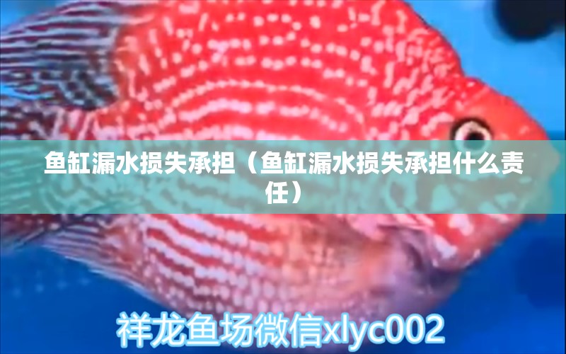 魚缸漏水損失承擔(dān)（魚缸漏水損失承擔(dān)什么責(zé)任）