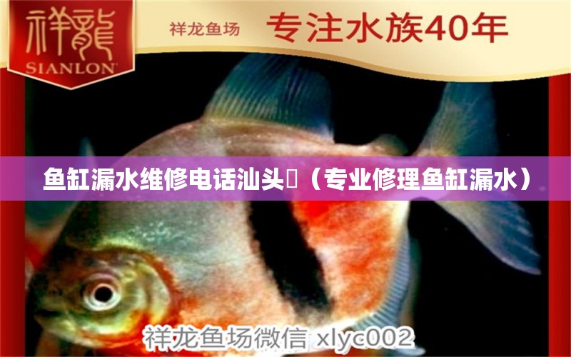 魚缸漏水維修電話汕頭巿（專業(yè)修理魚缸漏水）