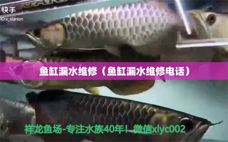 魚缸漏水維修（魚缸漏水維修電話） 其他品牌魚缸