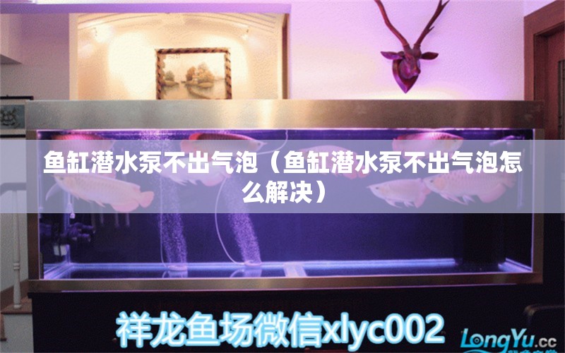 魚缸潛水泵不出氣泡（魚缸潛水泵不出氣泡怎么解決） 祥龍水族醫(yī)院