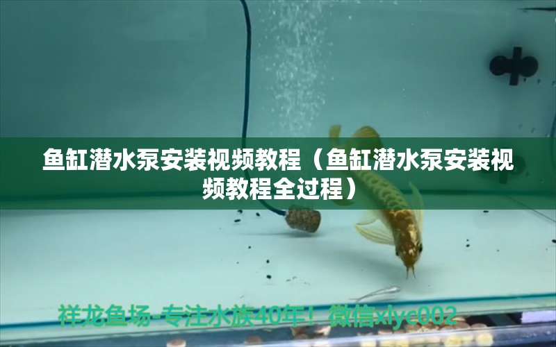 魚缸潛水泵安裝視頻教程（魚缸潛水泵安裝視頻教程全過程）