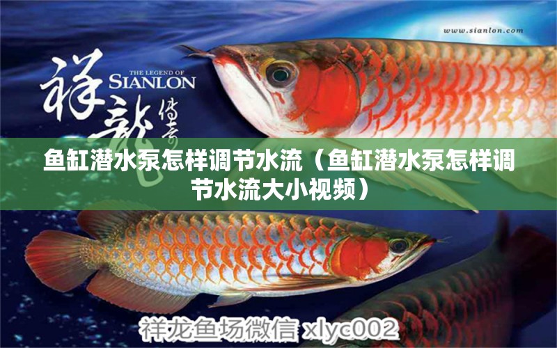 魚缸潛水泵怎樣調(diào)節(jié)水流（魚缸潛水泵怎樣調(diào)節(jié)水流大小視頻）