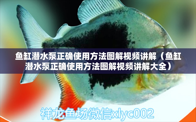 魚(yú)缸潛水泵正確使用方法圖解視頻講解（魚(yú)缸潛水泵正確使用方法圖解視頻講解大全）