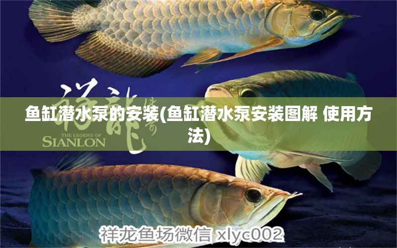 魚缸潛水泵的安裝(魚缸潛水泵安裝圖解 使用方法)