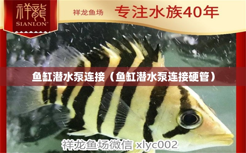 魚缸潛水泵連接（魚缸潛水泵連接硬管） 祥龍水族醫(yī)院