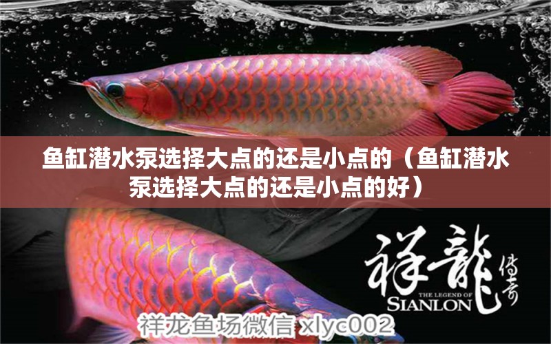 魚缸潛水泵選擇大點(diǎn)的還是小點(diǎn)的（魚缸潛水泵選擇大點(diǎn)的還是小點(diǎn)的好） 量子養(yǎng)魚技術(shù)