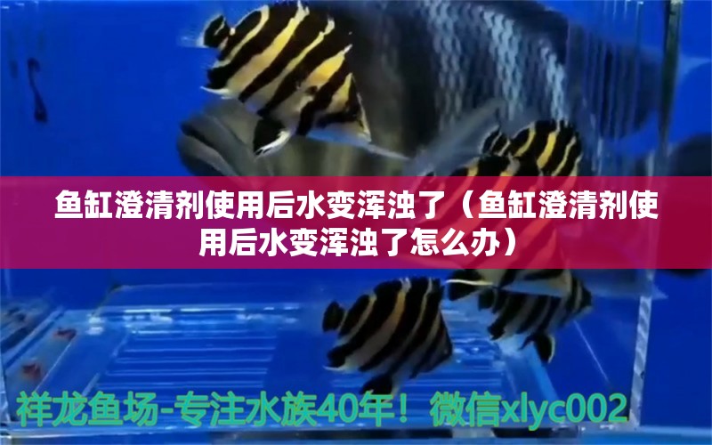 魚(yú)缸澄清劑使用后水變渾濁了（魚(yú)缸澄清劑使用后水變渾濁了怎么辦）