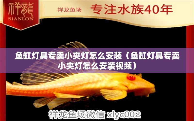 魚缸燈具專賣小夾燈怎么安裝（魚缸燈具專賣小夾燈怎么安裝視頻）