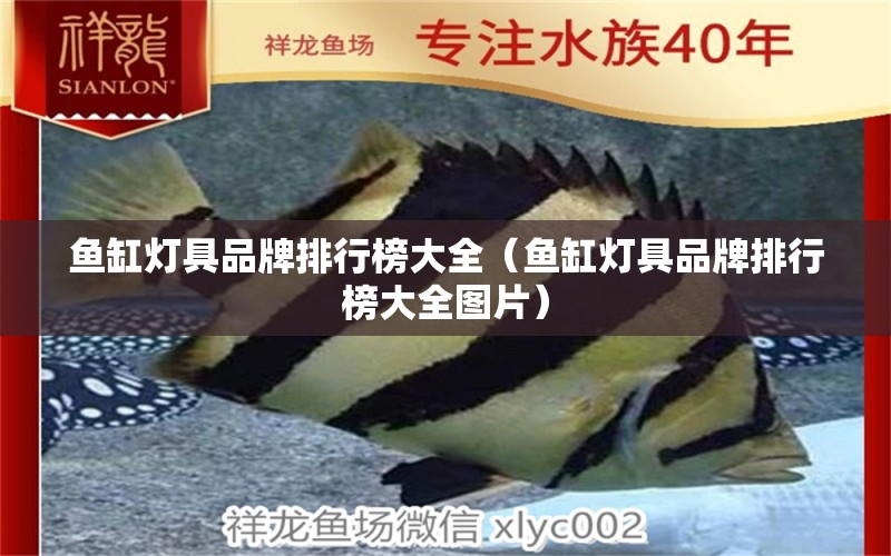 魚缸燈具品牌排行榜大全（魚缸燈具品牌排行榜大全圖片）