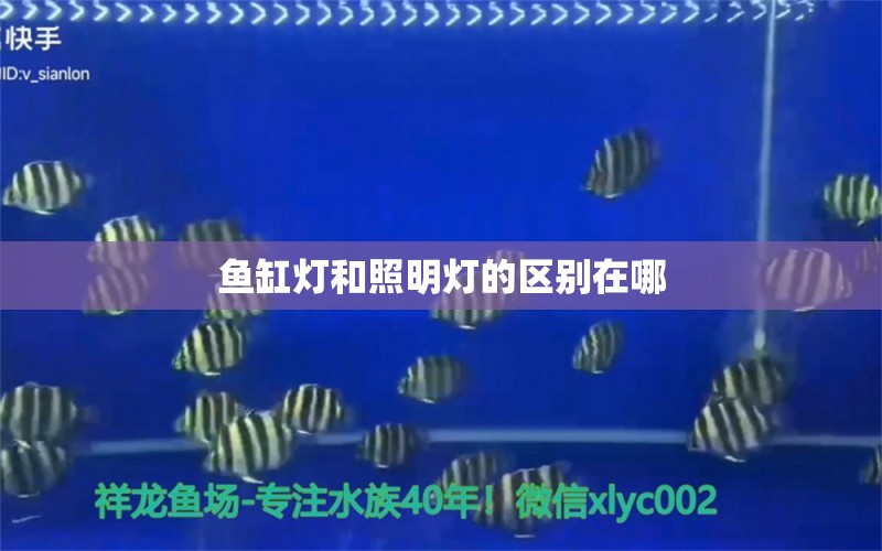 魚缸燈和照明燈的區(qū)別在哪