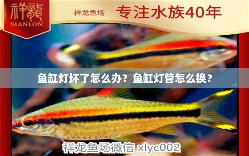 魚缸燈壞了怎么辦？魚缸燈管怎么換？