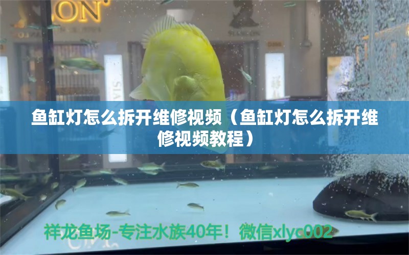 魚缸燈怎么拆開維修視頻（魚缸燈怎么拆開維修視頻教程）