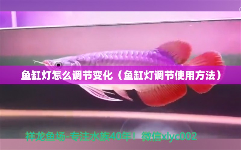 魚(yú)缸燈怎么調(diào)節(jié)變化（魚(yú)缸燈調(diào)節(jié)使用方法）