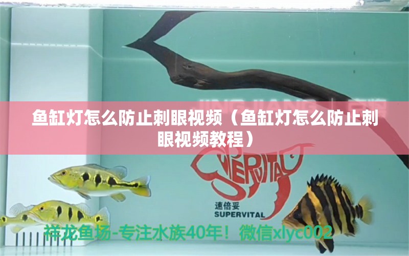 魚缸燈怎么防止刺眼視頻（魚缸燈怎么防止刺眼視頻教程）