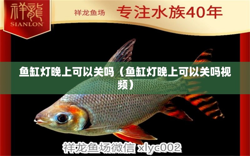 魚缸燈晚上可以關(guān)嗎（魚缸燈晚上可以關(guān)嗎視頻）