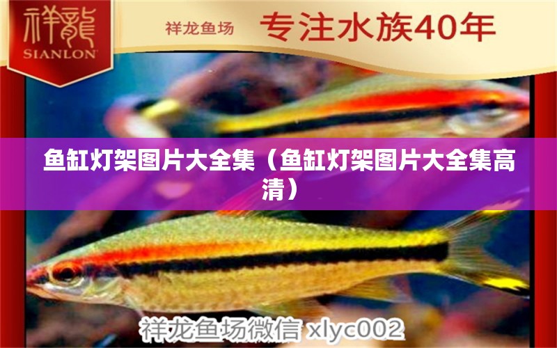 魚缸燈架圖片大全集（魚缸燈架圖片大全集高清）