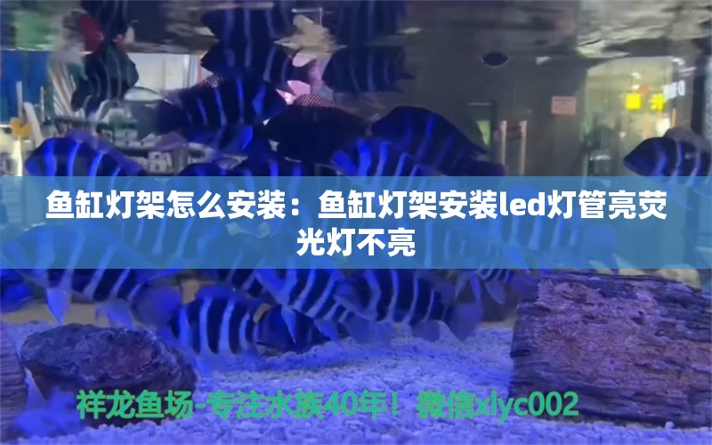 魚缸燈架怎么安裝：魚缸燈架安裝led燈管亮熒光燈不亮