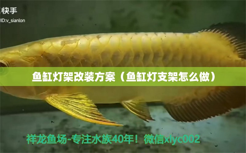 魚缸燈架改裝方案（魚缸燈支架怎么做） 觀賞魚批發(fā)