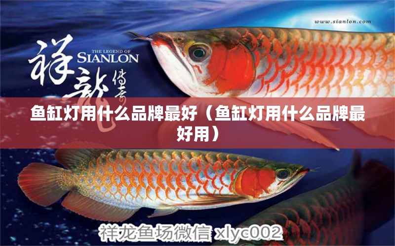 魚缸燈用什么品牌最好（魚缸燈用什么品牌最好用）