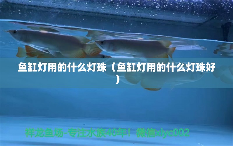 魚(yú)缸燈用的什么燈珠（魚(yú)缸燈用的什么燈珠好）