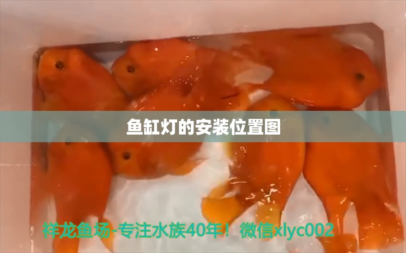 魚缸燈的安裝位置圖