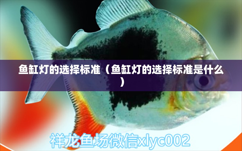 魚缸燈的選擇標準（魚缸燈的選擇標準是什么）