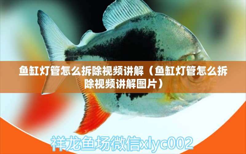 魚(yú)缸燈管怎么拆除視頻講解（魚(yú)缸燈管怎么拆除視頻講解圖片）