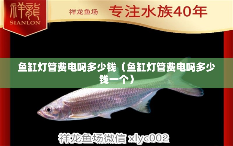 魚(yú)缸燈管費(fèi)電嗎多少錢(qián)（魚(yú)缸燈管費(fèi)電嗎多少錢(qián)一個(gè)）