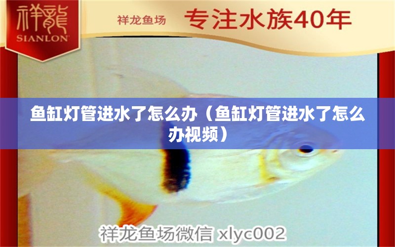 魚(yú)缸燈管進(jìn)水了怎么辦（魚(yú)缸燈管進(jìn)水了怎么辦視頻）