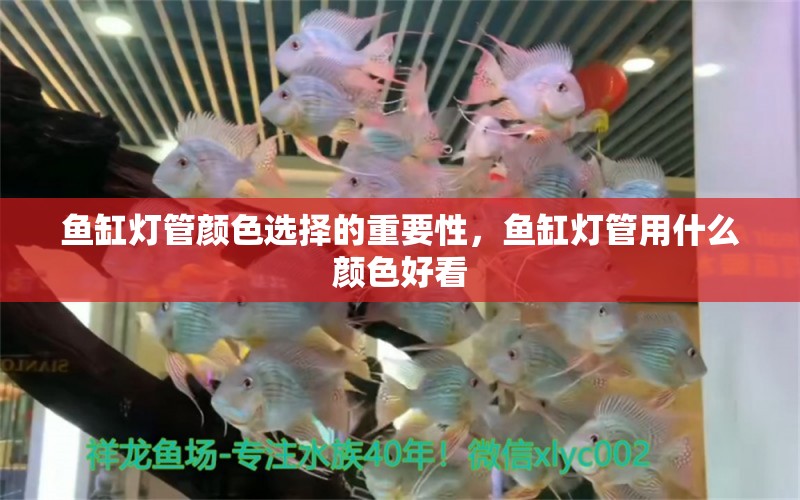 魚(yú)缸燈管顏色選擇的重要性，魚(yú)缸燈管用什么顏色好看